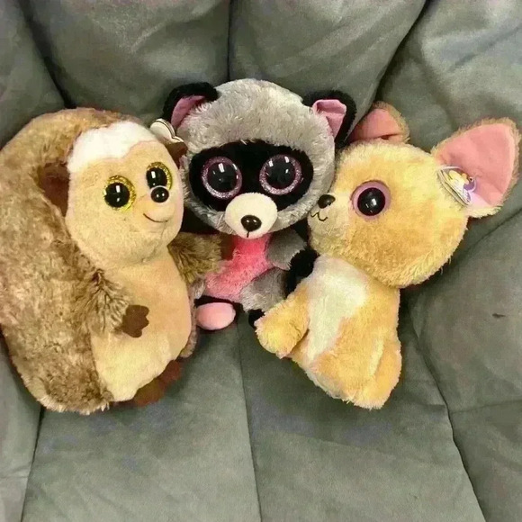 Beanie boo lot of 3 Ida Rocco and Nacho  2 with tags - Picture 1 of 7